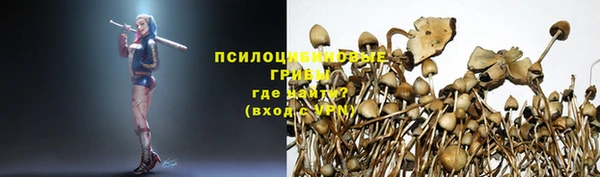 mdma Гусь-Хрустальный