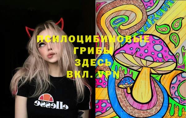 mdma Гусь-Хрустальный