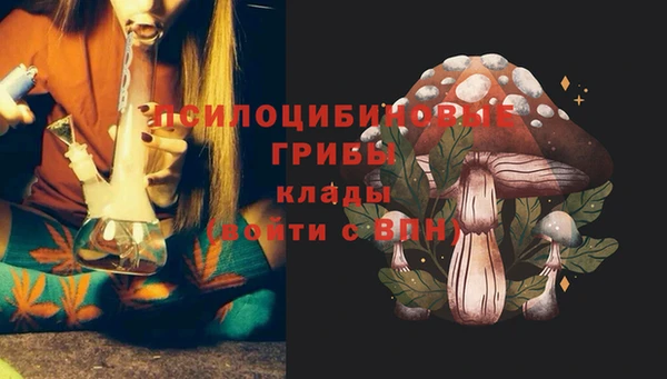 кокаин премиум Гусиноозёрск