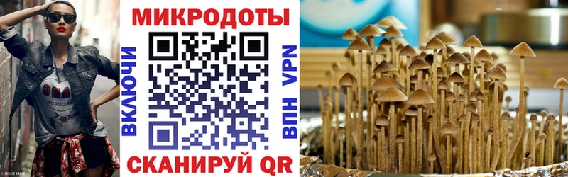 Псилоцибиновые грибы мицелий  Купить закладки  Бахчисарай 